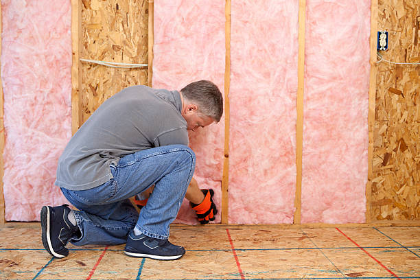 Best Insulation Maintenance and Repair in Kings Bay Base, GA